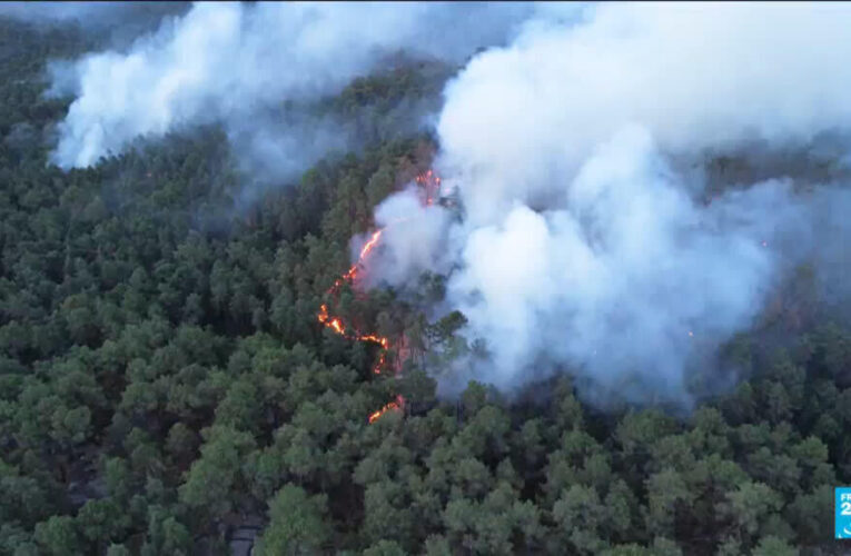 France: 2,000 hectares lost in forest fires