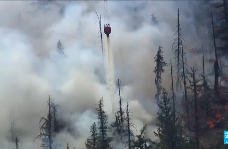 Donald Trump blames Canada for smoke pollution