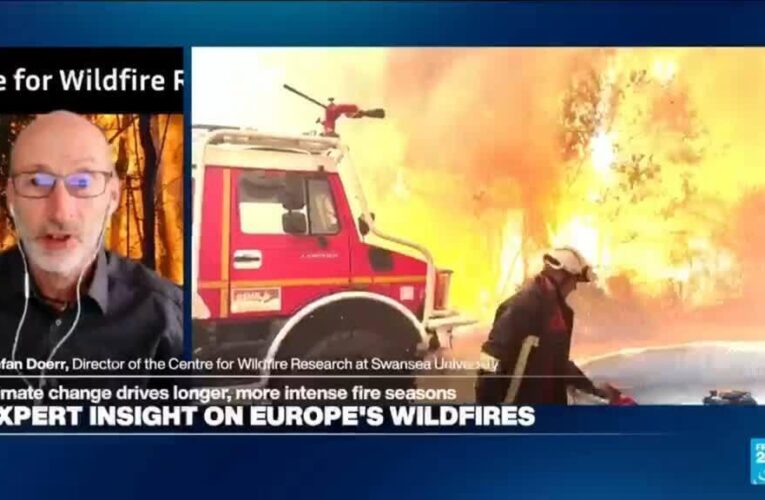 ‘We see a longer fire season nearly everywhere’: Insight on Europe’s wildfires