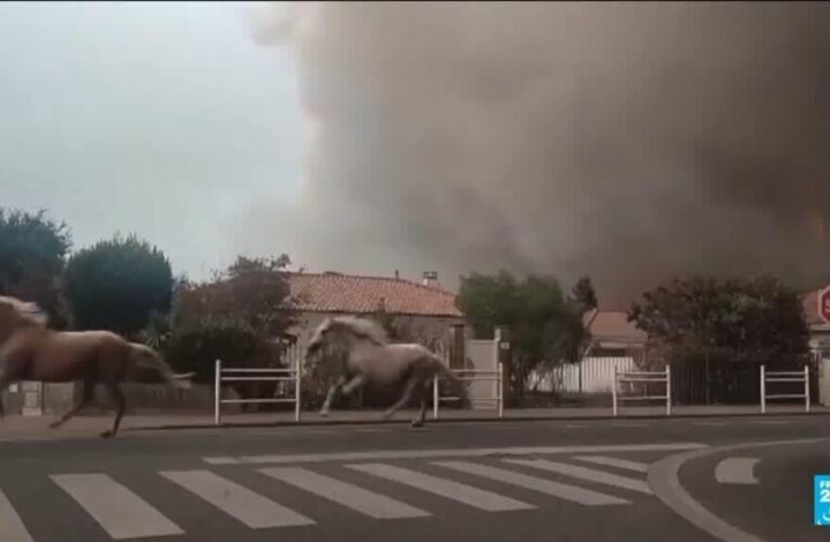 Wildfires ravage southwest France: Thousands face devastation after evacuation