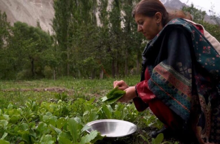 Gilgit-Baltistan: Pakistan’s tourist jewel tested by development and climate change