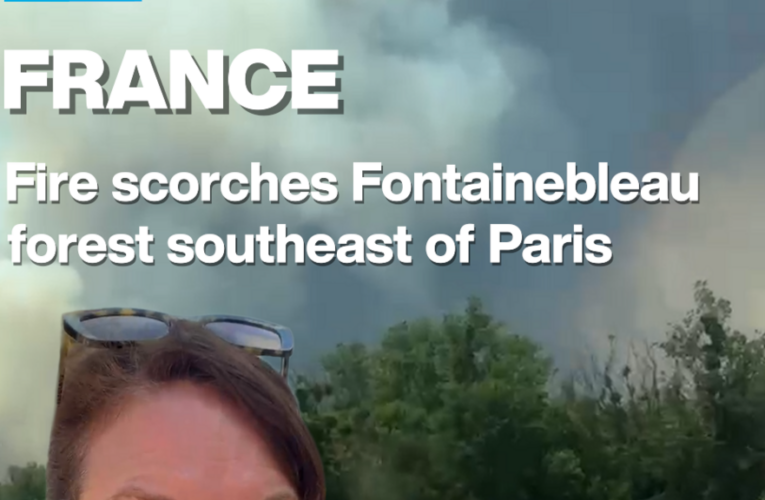 France: Fire scorches Fontainebleau forest southeast of Paris