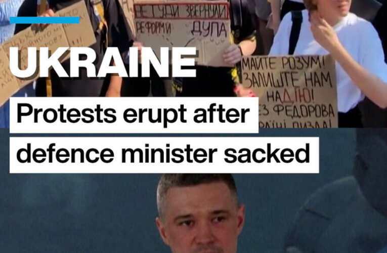 Ukraine: Protests erupt after defence minister sacked