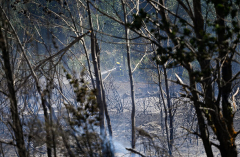 Tour de France stage under threat due to forest fires: official