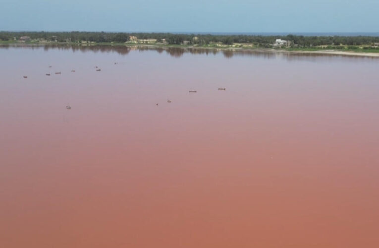 Crucial salt trade revives as Pink Lake slowly recovers from floods