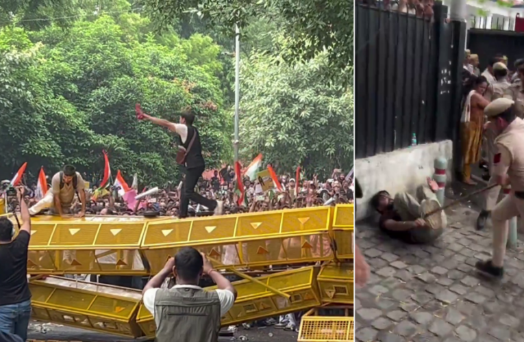 India’s ‘cockroach’ protesters explain how they toppled one of Modi’s ministers