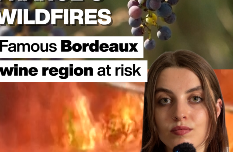 France’s wildfires: Famous Bordeaux wine region at risk