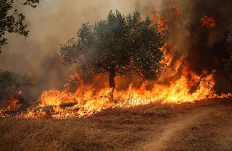 Europe’s record-breaking heat sparks wildfires, drought in France, Greece and the UK